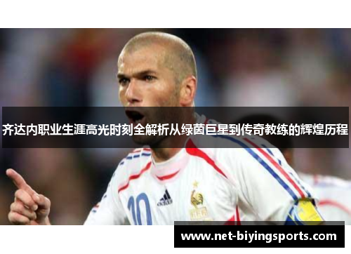 齐达内职业生涯高光时刻全解析从绿茵巨星到传奇教练的辉煌历程